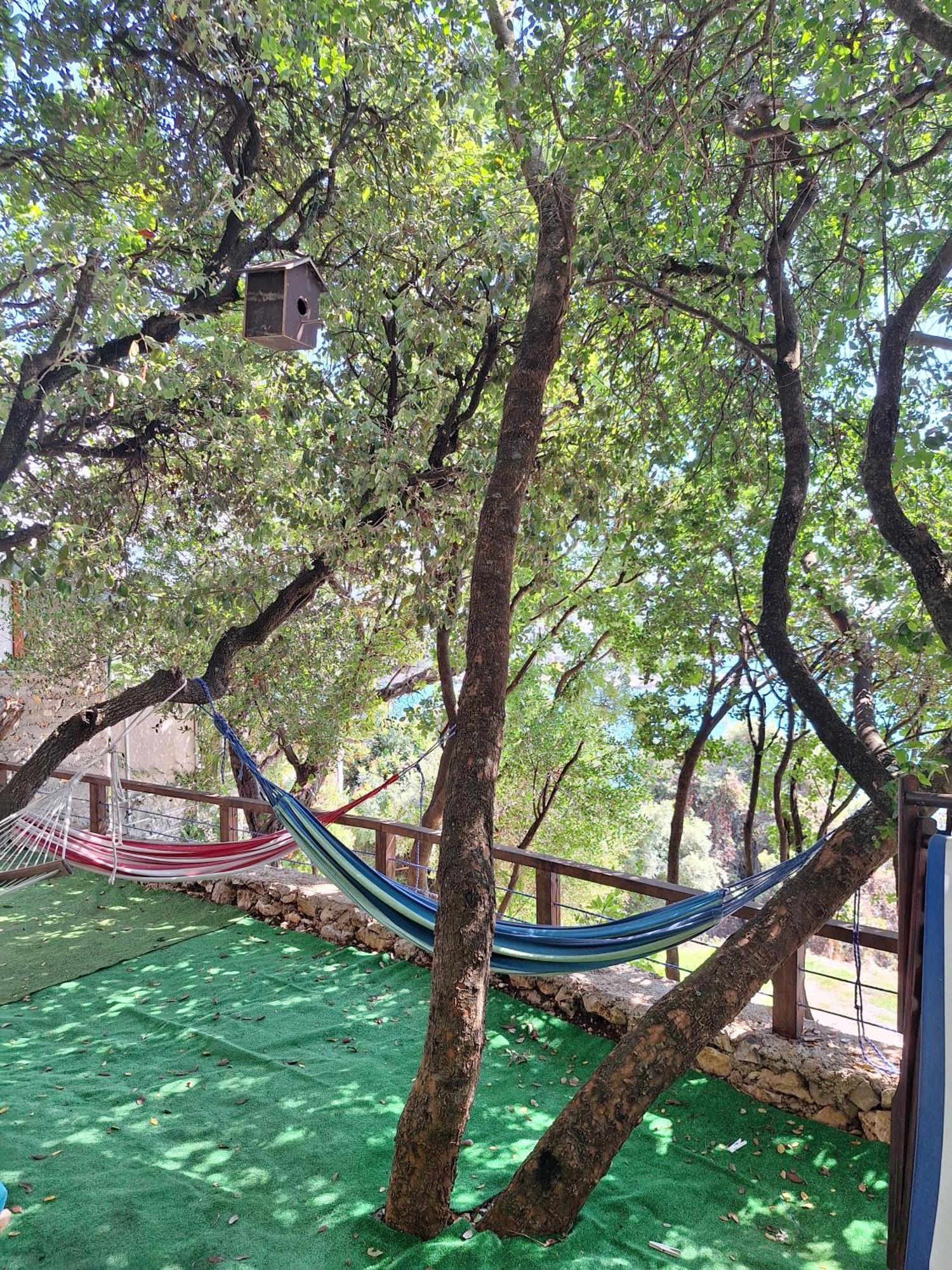 فيلا Sunnyday House Masline المظهر الخارجي الصورة