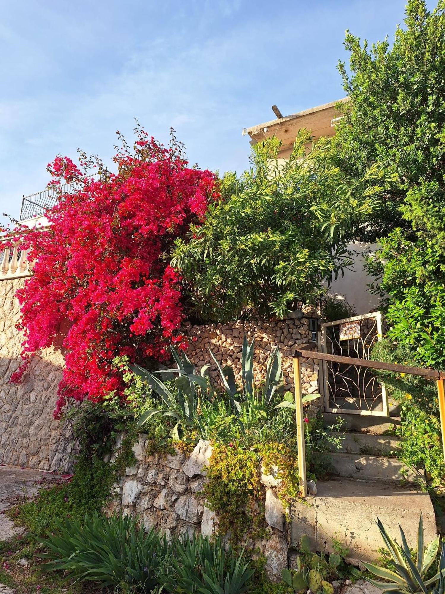 فيلا Sunnyday House Masline المظهر الخارجي الصورة